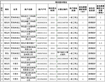 山东青岛公布第四批燃煤锅炉<em>电能替代</em>项目名单