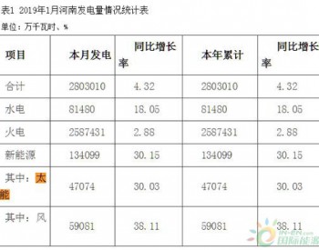 2019年1月<em>河南风电</em>发电数据统计：同比增长38.11%