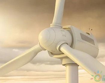 用地紅線！風電項目用林地規范正式出臺：11個禁建區域！