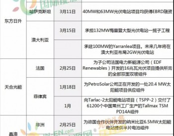 海外市场有多大？开年10大<em>光伏企业</em>拿23个大项目！