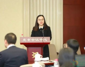 魏琳：LNG接收站向第三方開放的運營實踐