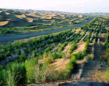 新疆兵团持续植树<em>造林</em>，用“绿色屏障”维护荒漠生态
