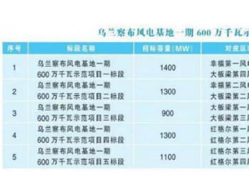 中标结果出炉！五家整机商共享600万千瓦风电<em>盛宴</em>