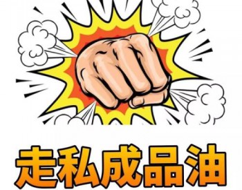 上海发布打击<em>走私</em>犯罪检察白皮书 呈现单位犯罪多发