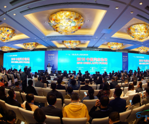 聚焦<em>汽车产业变革</em>与机遇——2019中国汽车论坛在上海隆重召开