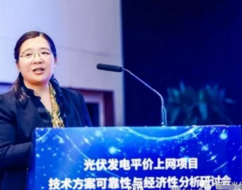 未來兩年新增86GW，<em>十四五</em>年新增將超100GW！