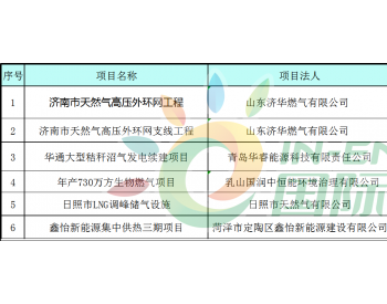 2019年山東省天然氣重大建設項目名單公布