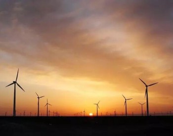 2019第一季度全球风电市场展望：2019年陆上<em>风电新增装机容量</em>将达61.8GW