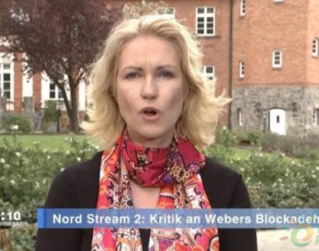 內訌？德國政客將阻止俄氣項目建設遭懟