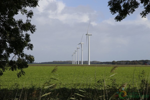 windmills-2924394_1280-1