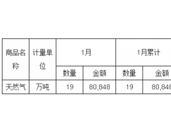2019年1月中国<em>天然气出口量统计</em>表