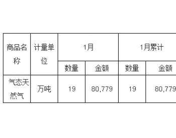 2019年1月中国<em>气态天然气出口量</em>统计表