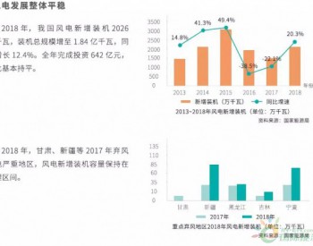 中國風電2018年發展報告