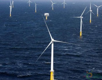 中标 | <em>山东电建</em>中标600MW海上风电项目