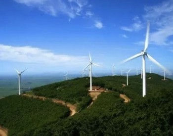 不超50MW，优先<em>风电消纳</em>！山东省分散式风电项目实施方案重磅出炉！