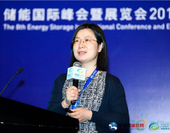 自然资源保护协会<em>刘明</em>明：电力系统正在转型 电力需求侧资源的市场参与和价值体现