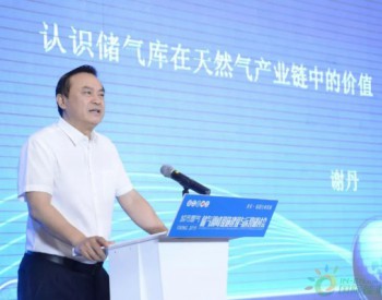 謝丹：儲氣庫獨立商業運作是天然氣市場發展必然方向