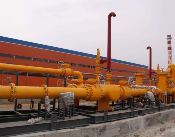 謝丹：儲氣庫獨立商業運作是天然氣市場發展必然方向