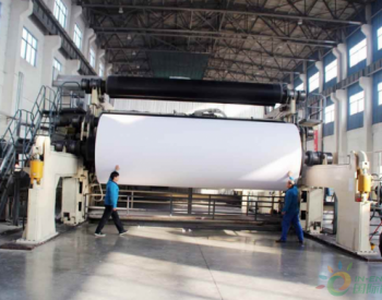 <em>禁废令</em>下 原料进口高达50%的造纸业怎么应对？