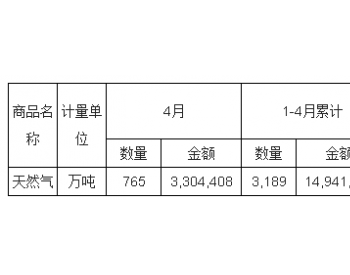 2019年4月<em>中国天然气进口量</em>统计表
