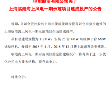 112MW！上海臨港海上風電一期示范項目全面建成投產