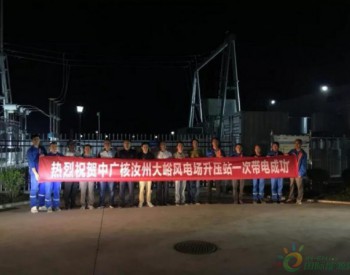 中广核新能源<em>河南汝州</em>大峪42MW风电项目升压站一次带电成功