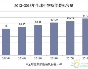 2019上半年全球及国内<em>生物质发电</em>新增、累计装机容量现状分析