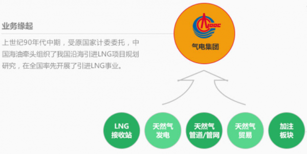 中海油气电5大业务