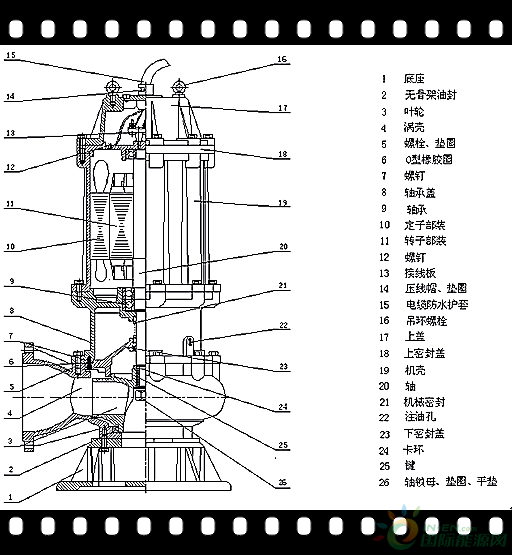 潜水排污泵图外形