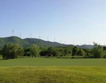 1600MW！上海庙阿拉善盟区域风电项目<em>竞争优选</em>工作方案发布