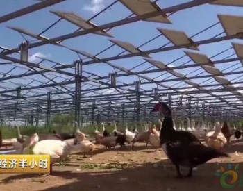 光伏“治沙”+“扶貧”獲央視點贊！