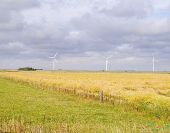 “搶裝”年遭遇供應鏈緊張，陸上風電如何向平價過渡？