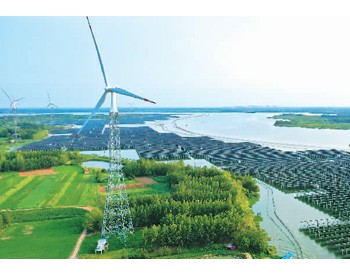 中国引领<em>全球可再生能源</em>发展