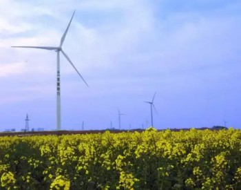 2019年上半年天順風能盈利實現同比增長38.42%