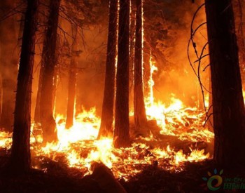 世界气象组织：气温升高和<em>气候干燥</em>导致多起火灾