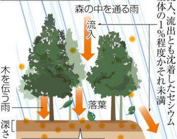 日本团队发现放射性<em>铯</em>或长期停留于土壤3厘米内表层