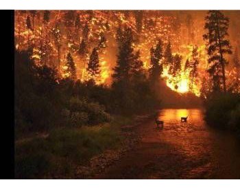 一年着火7.2万起！亚马逊大火连烧N周！七国集团2000万美金帮巴西竟被拒绝！