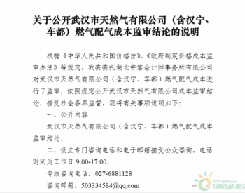 关于公开武汉市天然气有限公司（含汉宁、车都）<em>燃气配气成本监审</em>结论的说明