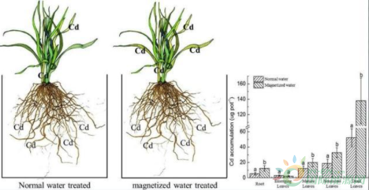 微信截图_20190905100546