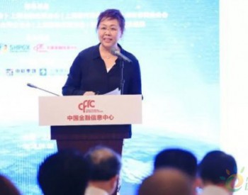 BP中国董事长杨筱萍：抓住战略机遇期 助力中国天然气市场发展