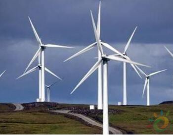 風能已成動物殺手？研究發現，風力發電每年殺死1300只禽類