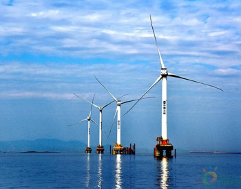 風電裝機熱情暴漲 并網或成大難題