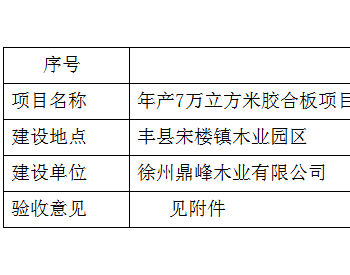 <em>江苏徐州</em>丰县生态环境局关于作出竣工环境保护验收决定的建设项目（固体废物部分）公示