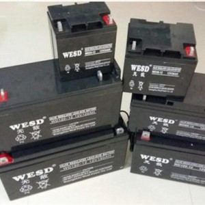 wesd蓄电池代理  销售  规格参数及报价