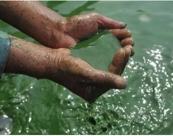 新发现！气候变化降低中国湖泊对有机污染物的埋藏能力