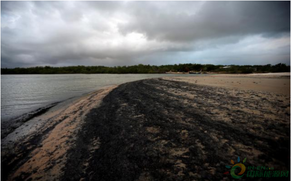 微信截图_20191012084842