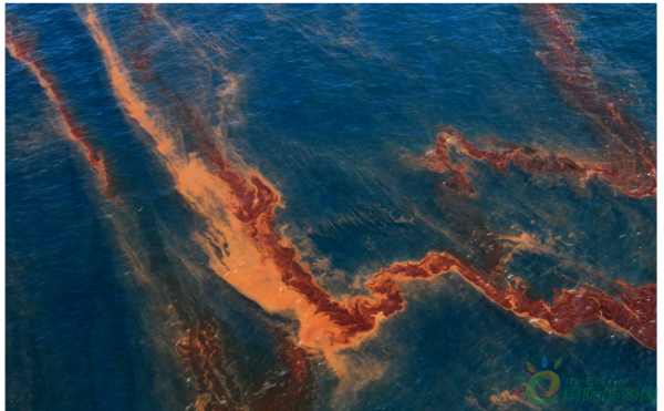 微信截图_20191022150503