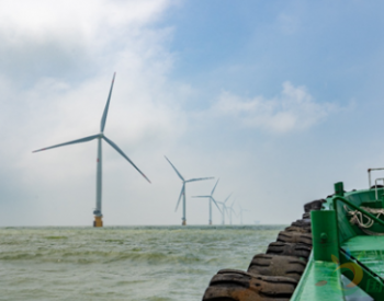 走进大唐滨海海上风电 探寻“黄河尖”上的“绿电丛林”