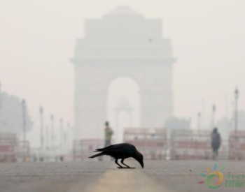 焚烧秸秆致<em>空气污染</em>加剧，新德里进入“公共健康紧急状态”