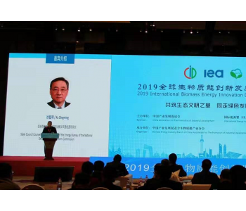 徐锭明：生物质能将是中国未来可再生能源发展的重要<em>生力军</em>！